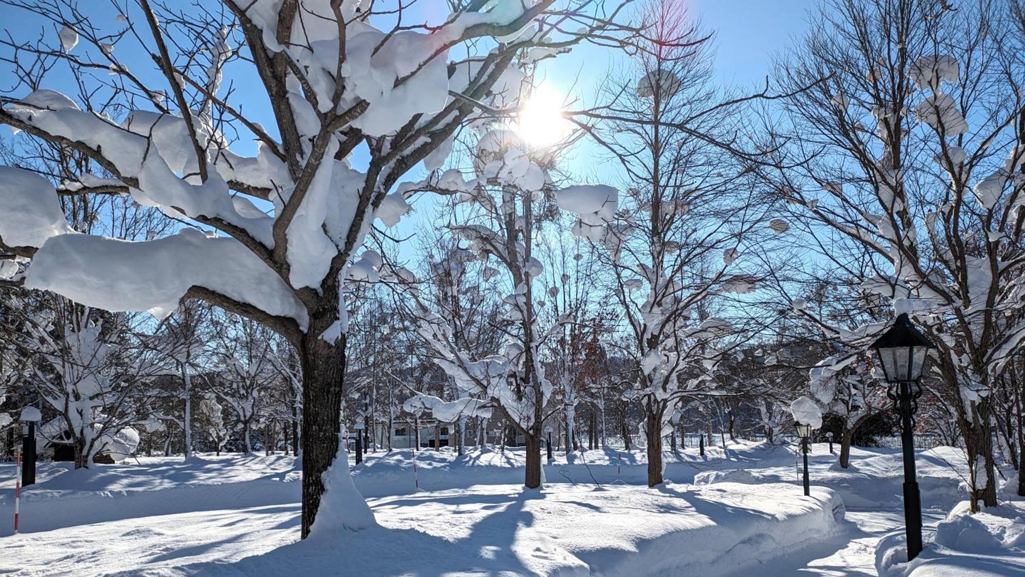 Log Hotel The Maple Lodge Iwamizawa Экстерьер фото
