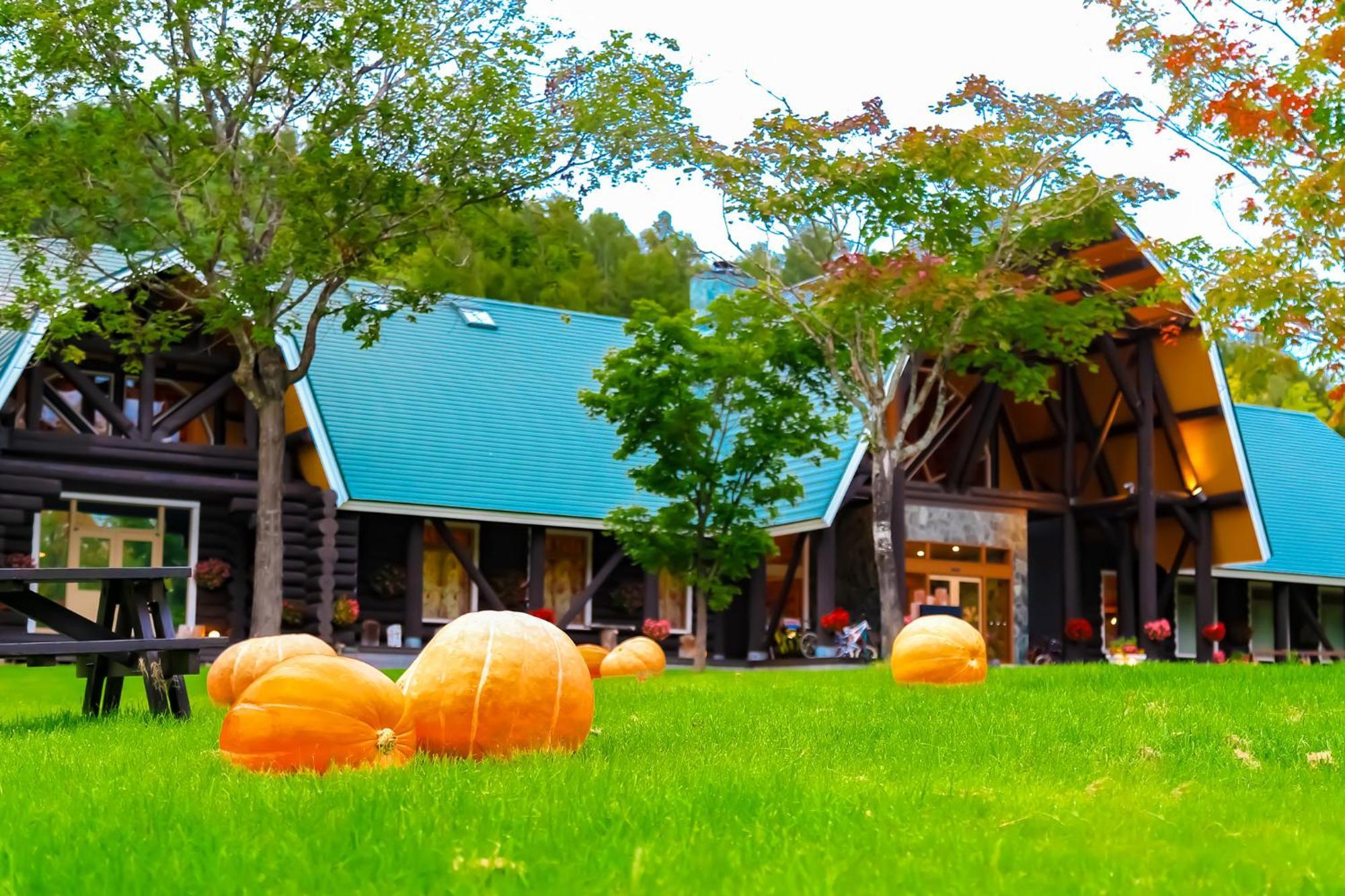 Log Hotel The Maple Lodge Iwamizawa Экстерьер фото